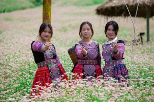 KHám phá vườn tam giác mạch Vân Hồ đón kì nghỉ lễ 30-4-2022