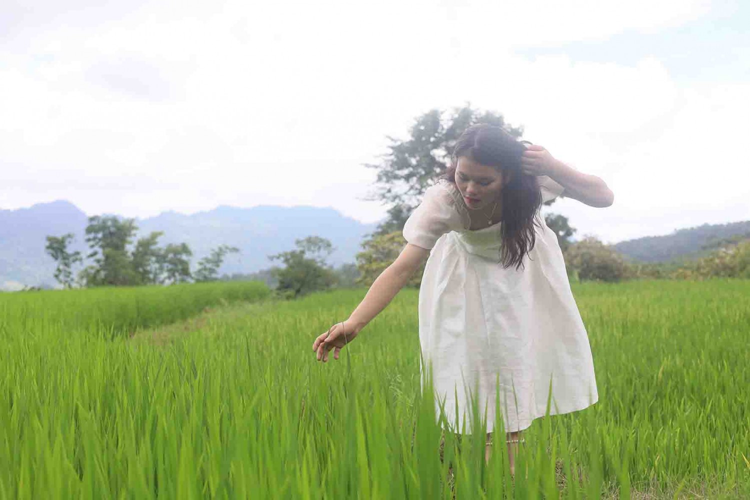 cảm giác bình yên giữ những cánh đồng lúa tại chân thác Tạt Cạng