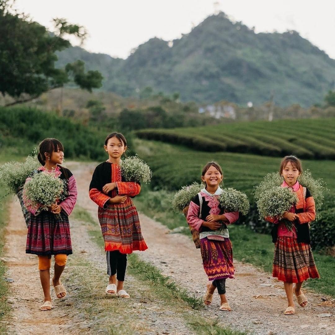 Tuần văn hóa du lịch Mộc Châu